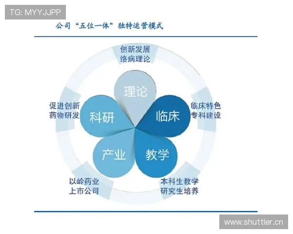 奥斯梅恩单箭头体系中的核心终结作用解析